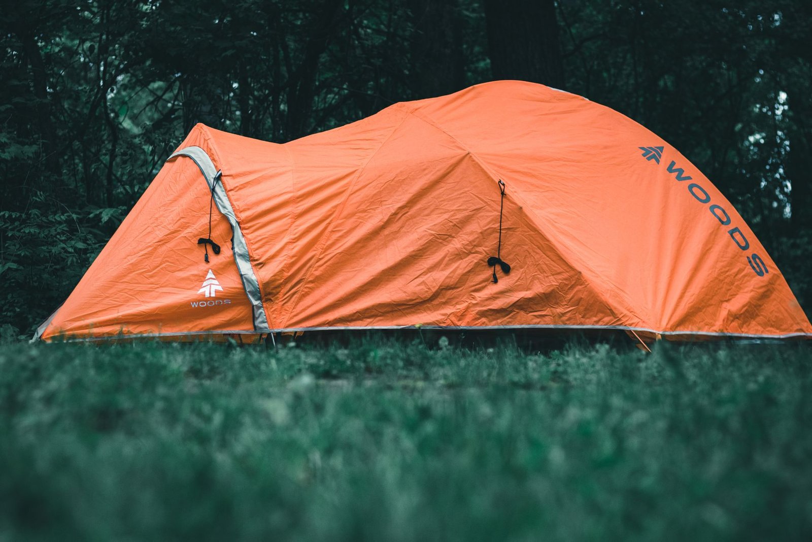 Best Camping Tents for Campers: How to Choose the Perfect Tent for Your Outdoor Adventure